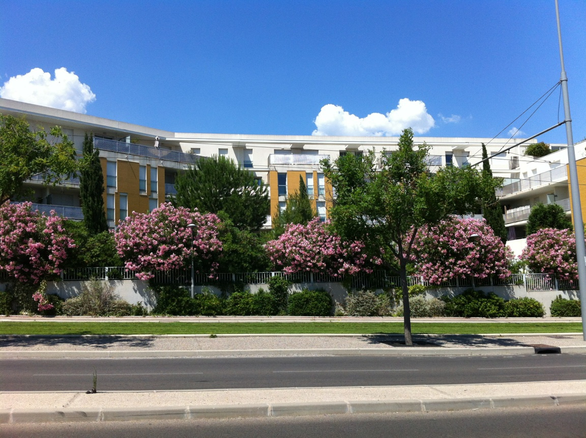 Photo du bien immobilier