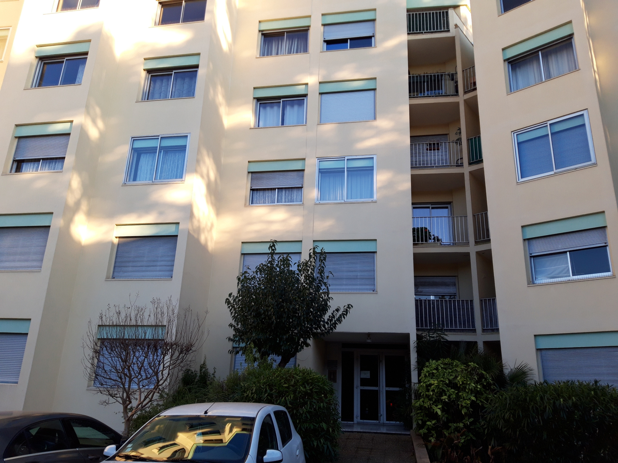 photo_0cbeec8a9aeb29932e97795581f91d88