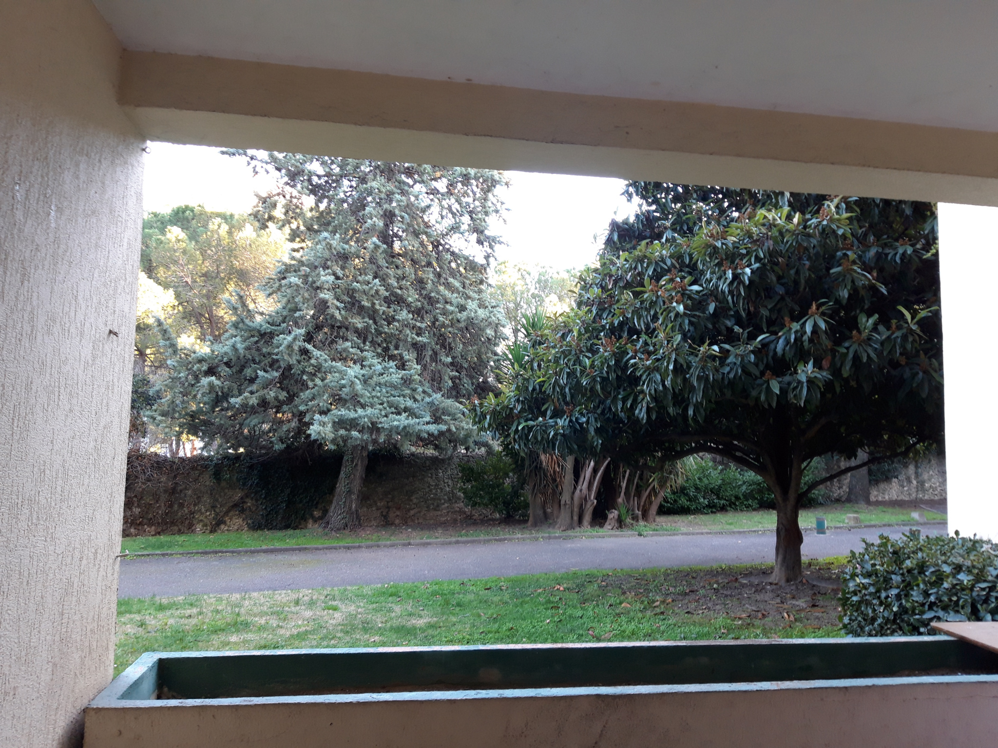 photo_32c250565db7638156c254f12a3bb03a