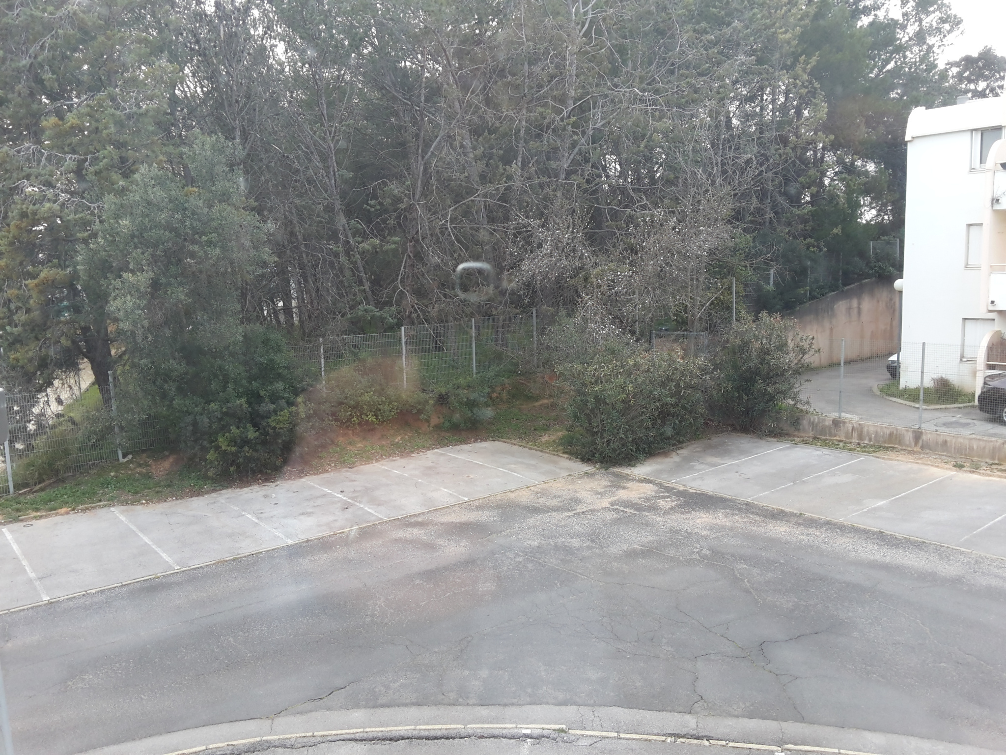 photo_c598e7d67c2edcd12c2546acc42dde83