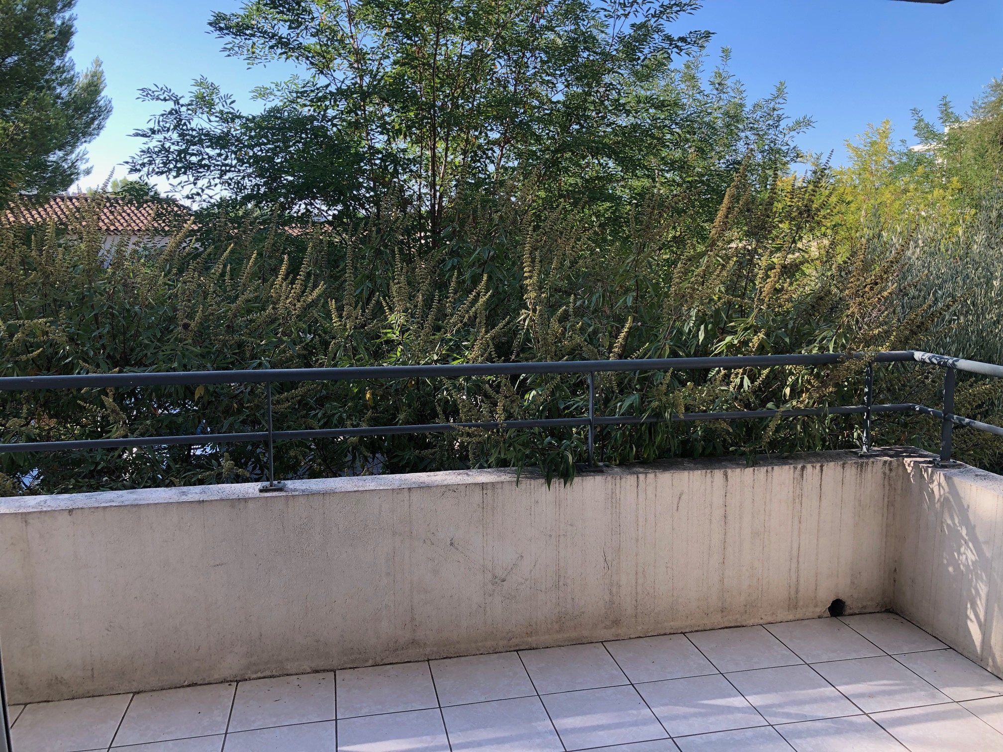 Photo du bien immobilier