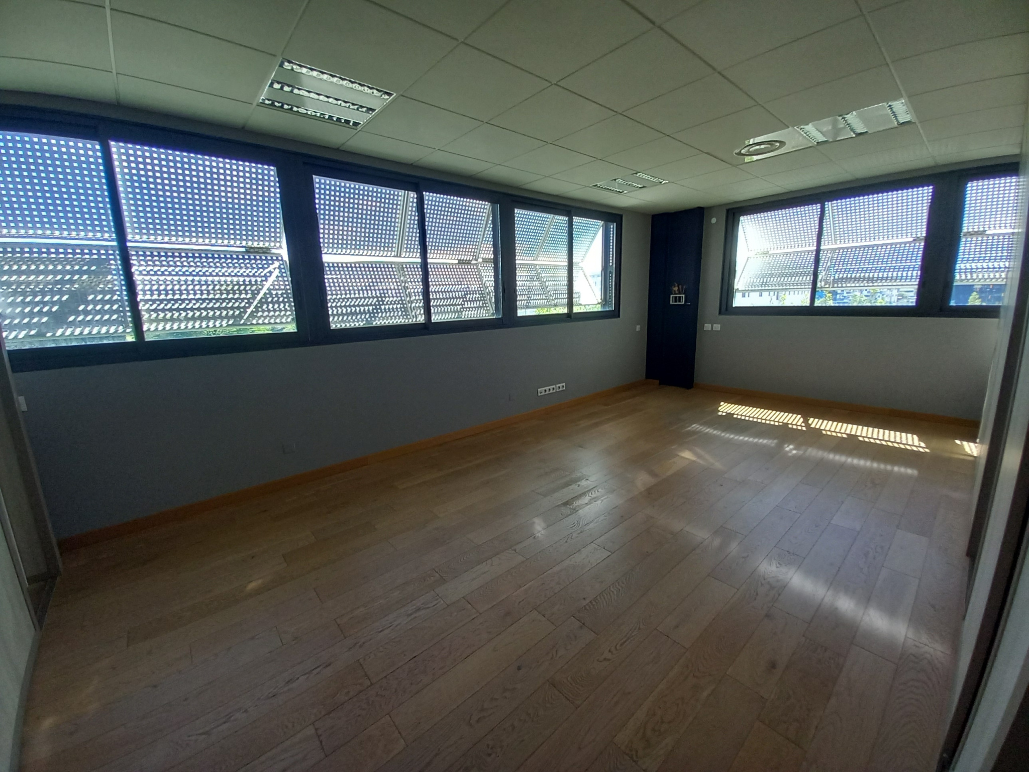 photo_8b1314ccddf1237087d7238d6ed4114c