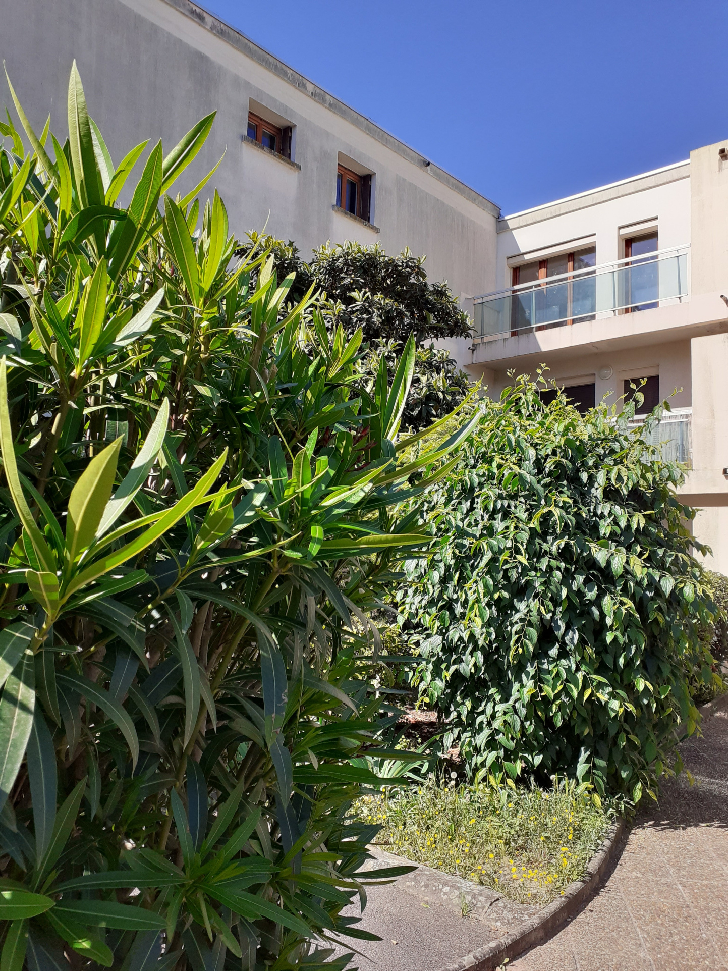 photo_b9f090bfcf57aa1b6f80c5a80dfa2eb9