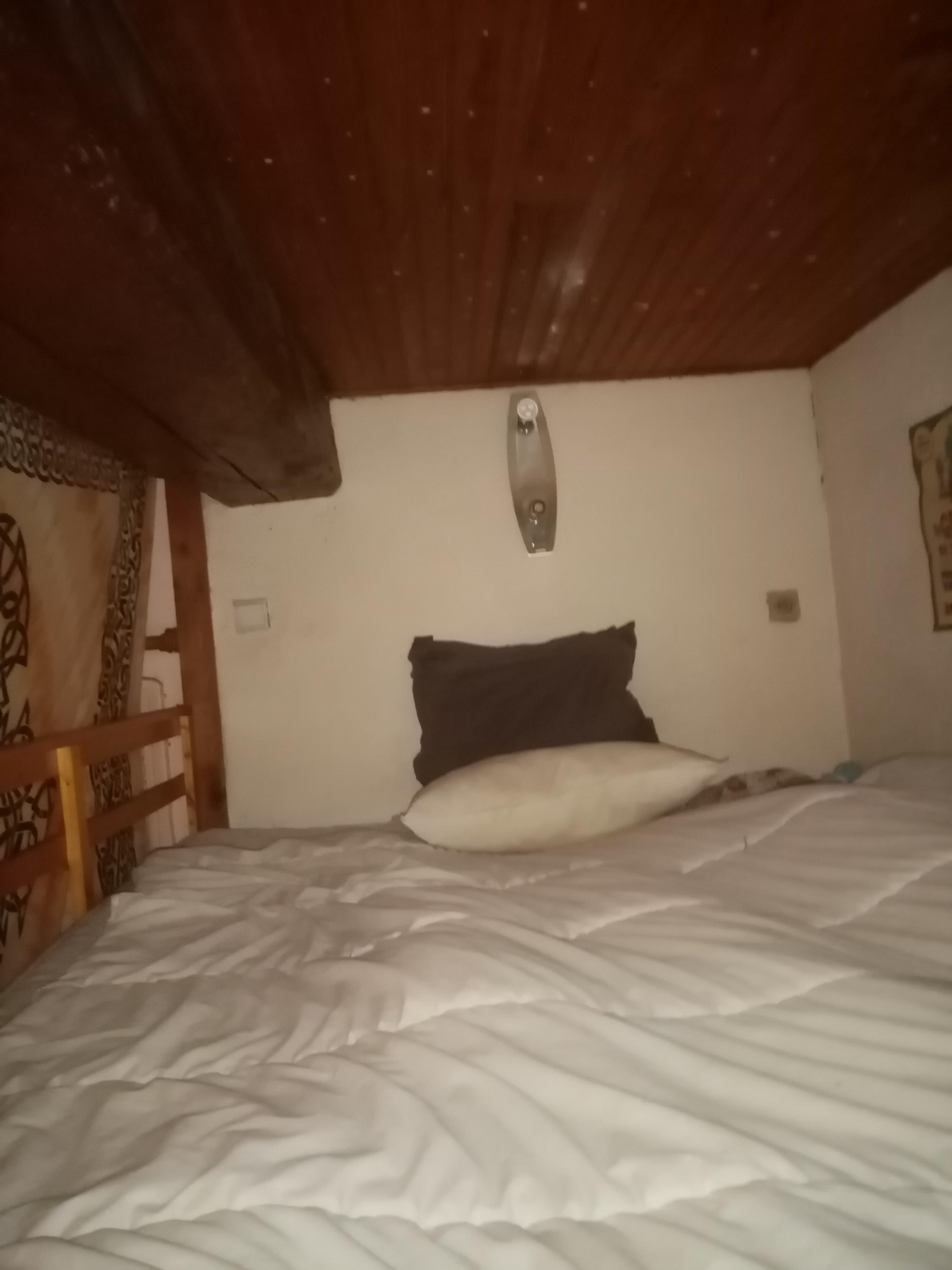 photo_b55516b6319e195d74f0f7d14cf99acb