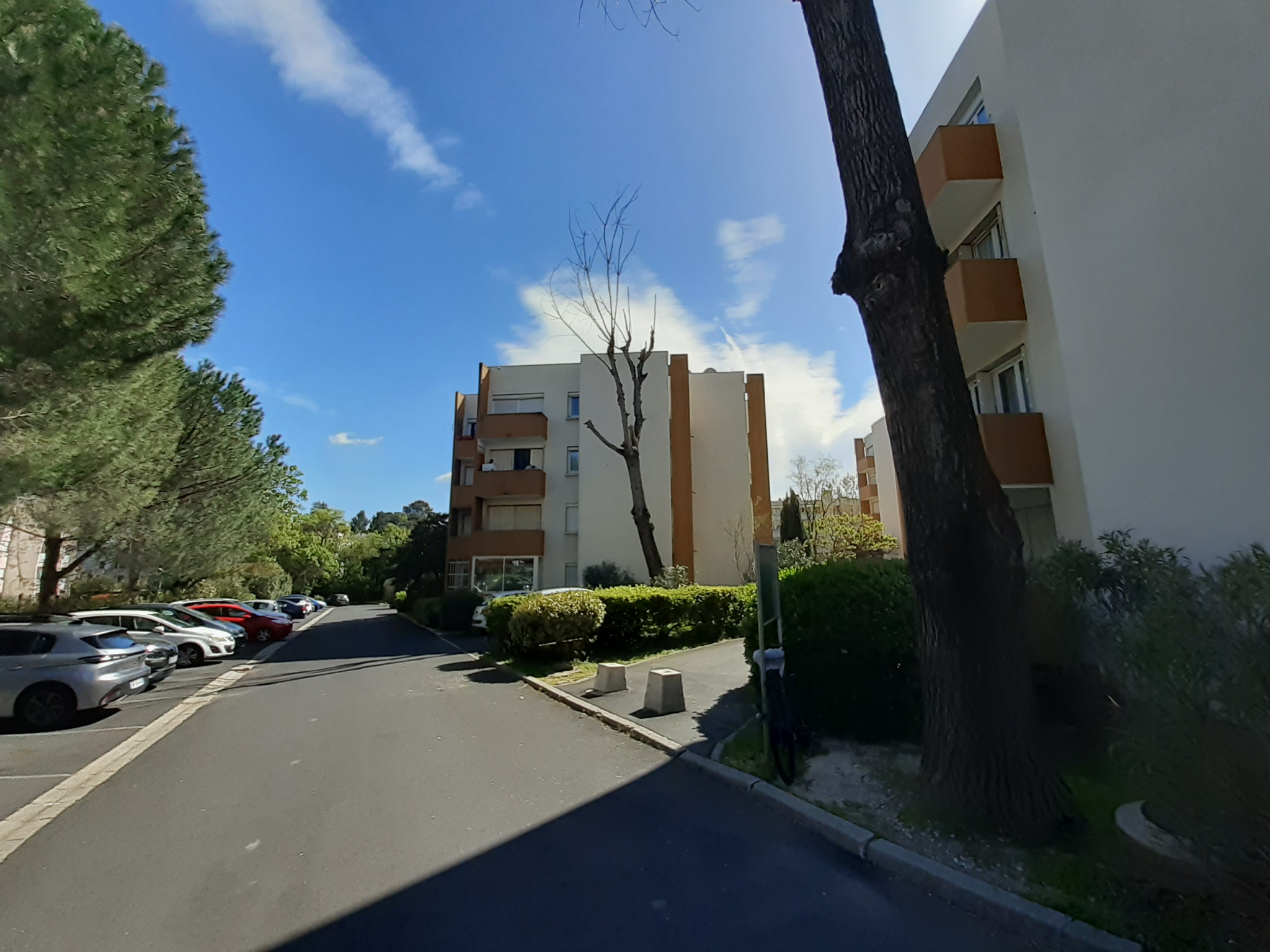 photo_6fb499500791d614c888a07497fde27d