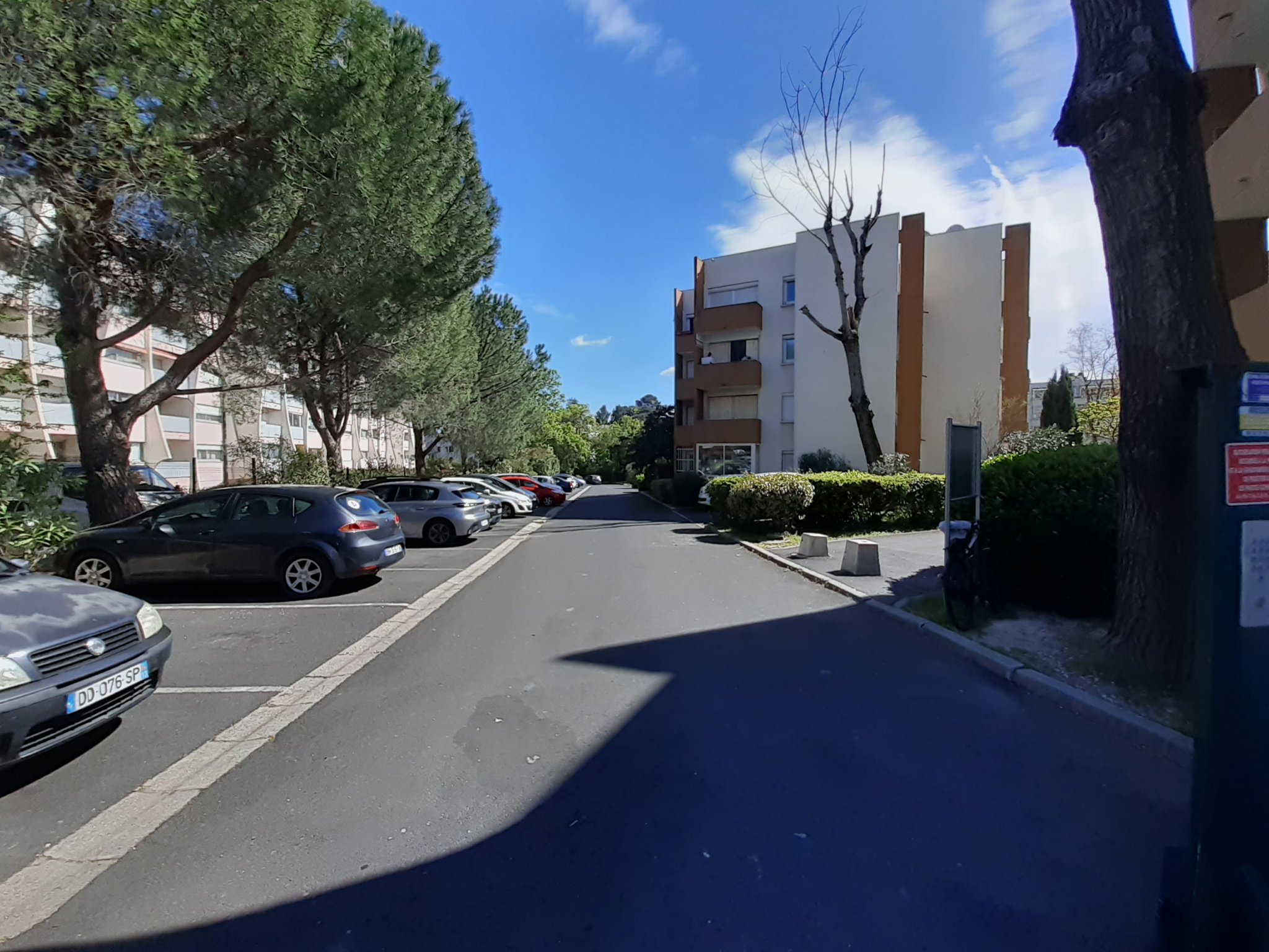 photo_73886271b905f96a8d4f03a51401987b