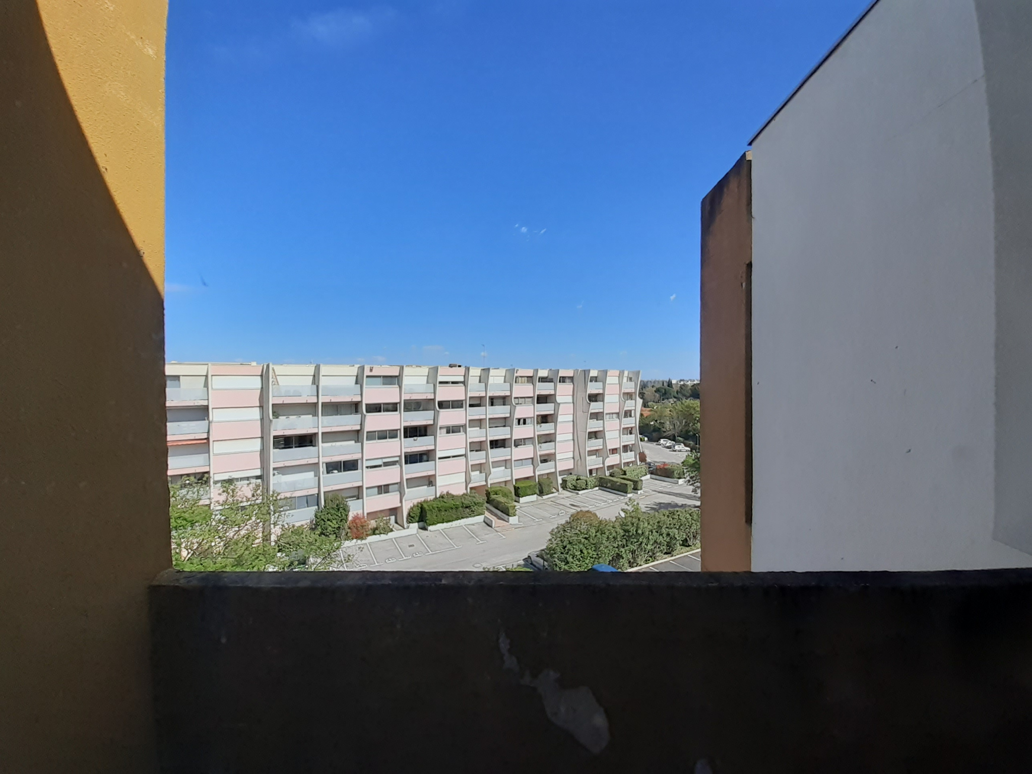 photo_d6c9d3742d9a532b1ae97b53ca27a5e3