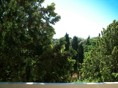 73c6fa94bfef8dd4d3d050cfd66d9c3c