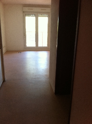 86c0400102e55a94fe29245097e92be6