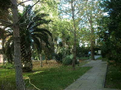 5dd6293a8a76760ed9c8ba7cf4b4e14a