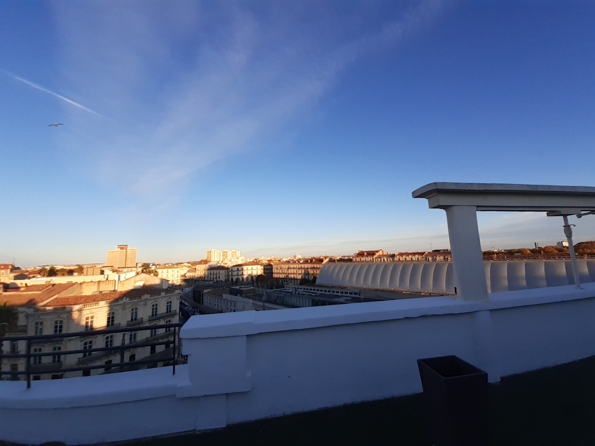 photo_179dbc962dd58b851da8406e93f3b4ba