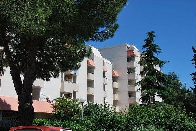 photo_2e1cf624c1a519eb919af52170e0a7b9