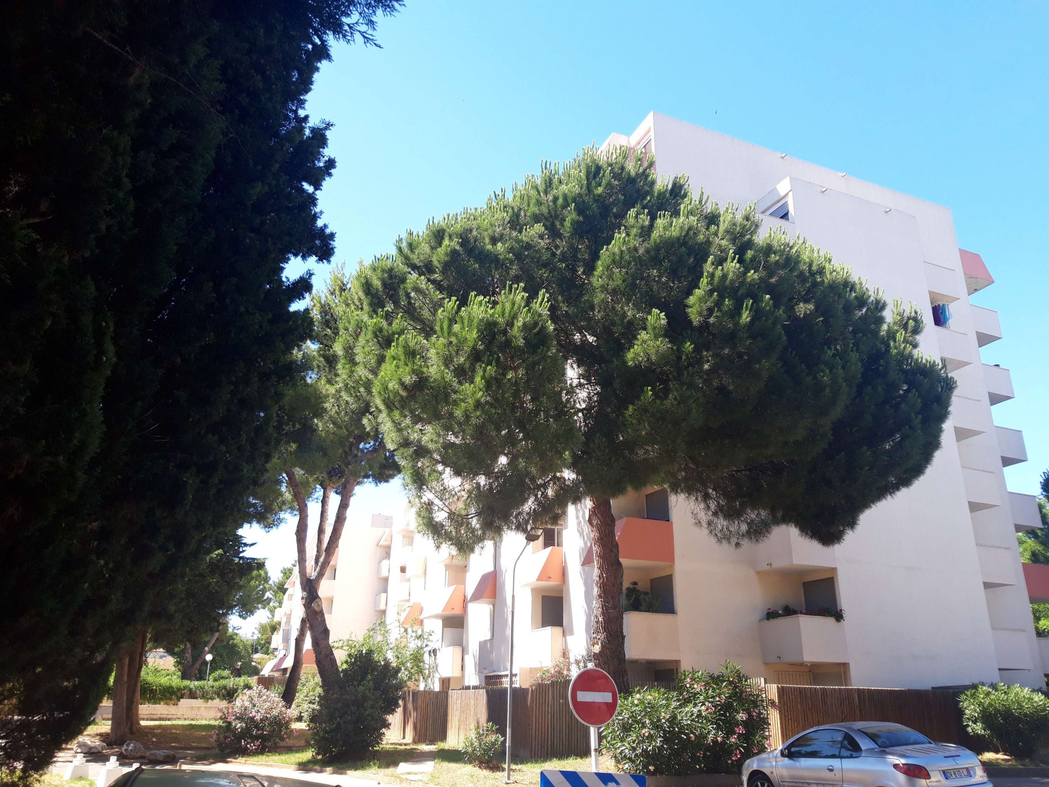 photo_79d49382bcf663205875e515369a04d5