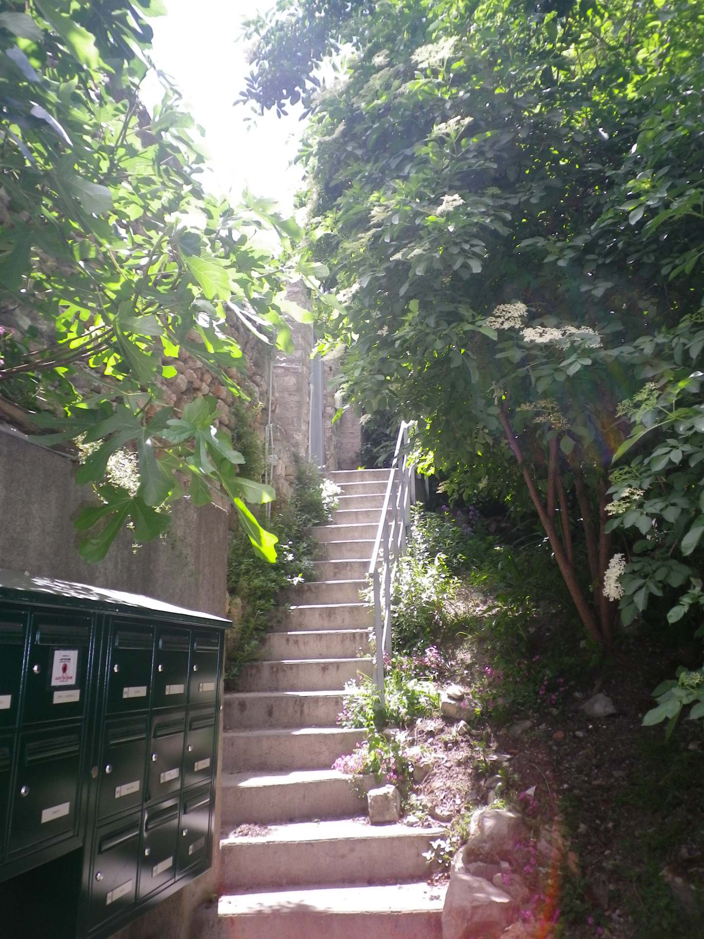 photo_63f045203e39fae70bfbb198fd4698fa