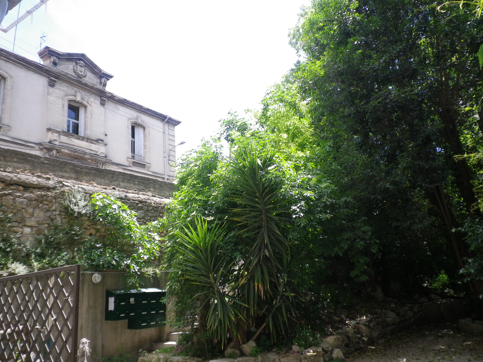 photo_87c54af1601cda9059b06ffb36aa3840