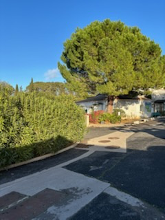 photo_bf6577eac3906ae67963fc7ad59dcc86