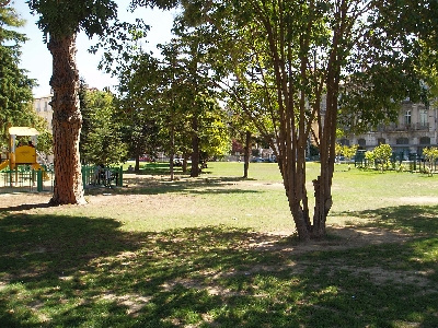 photo_8dff7e62409ab746cda8e208445fffd8