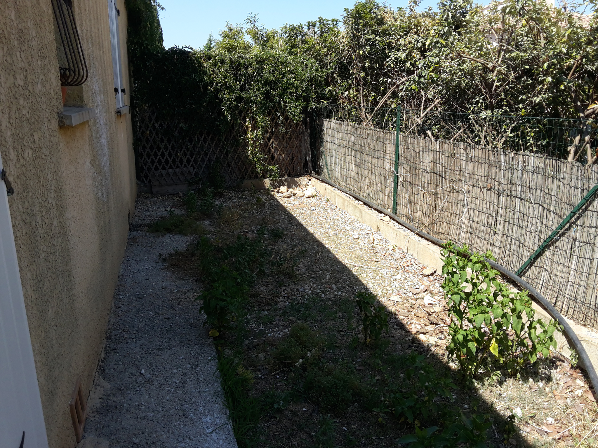 photo_352c25d4702e7a6e748ca3a7837c98df