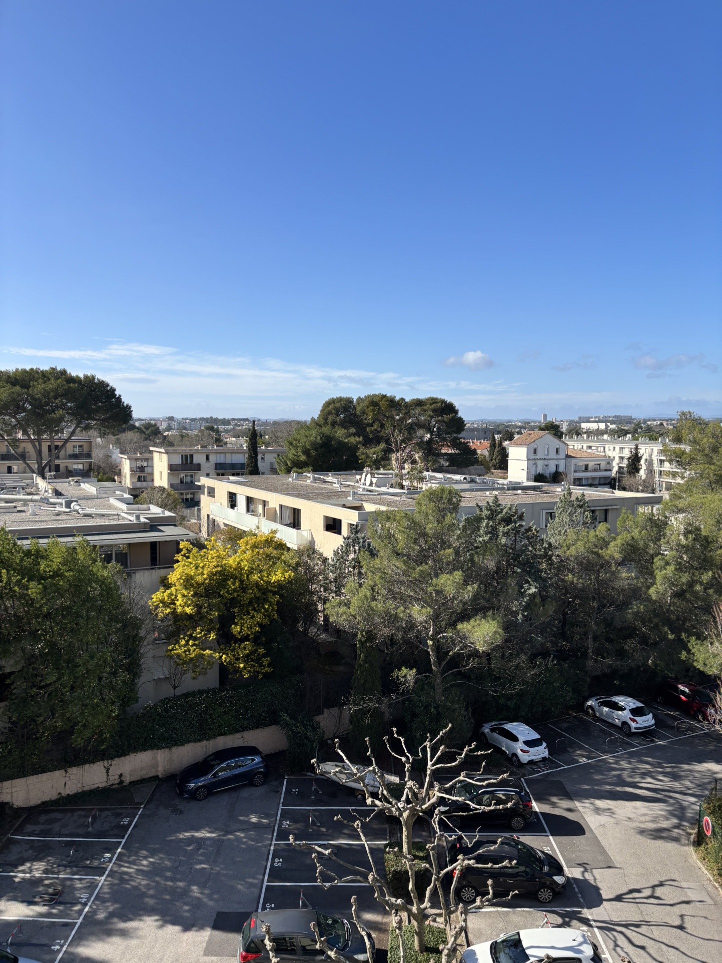 photo_c5c59477dce1feed2fac65e6bb97ebe7