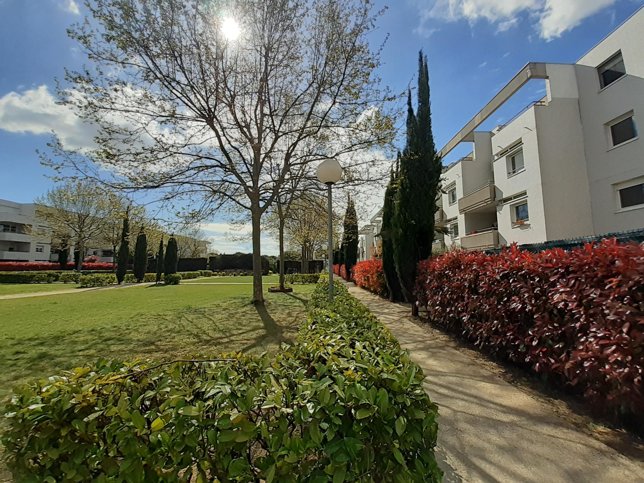 photo_07087fe6259634dfccca34f491fbb87a