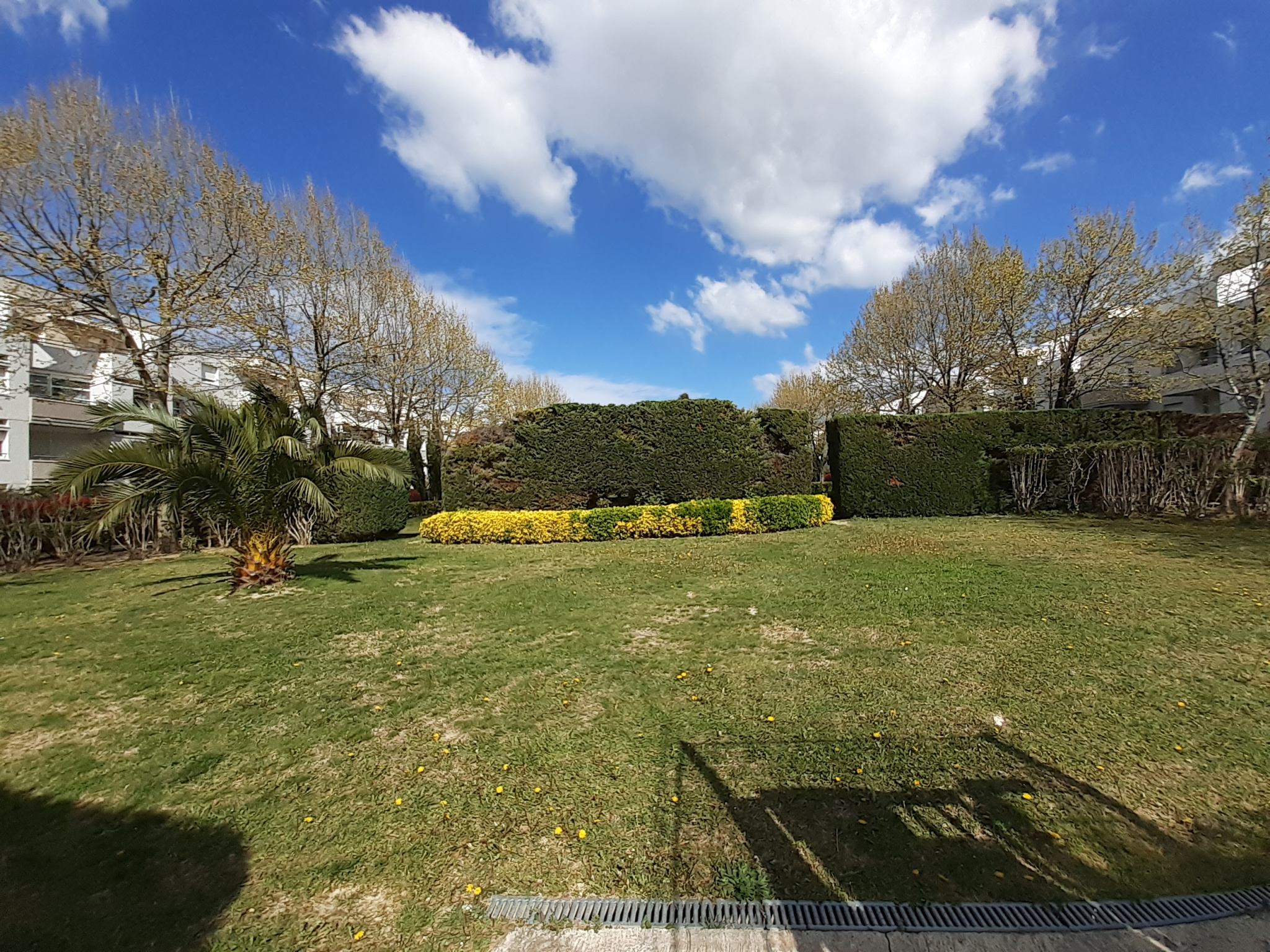 photo_3b02f113276bb4aa6f111a649347b958