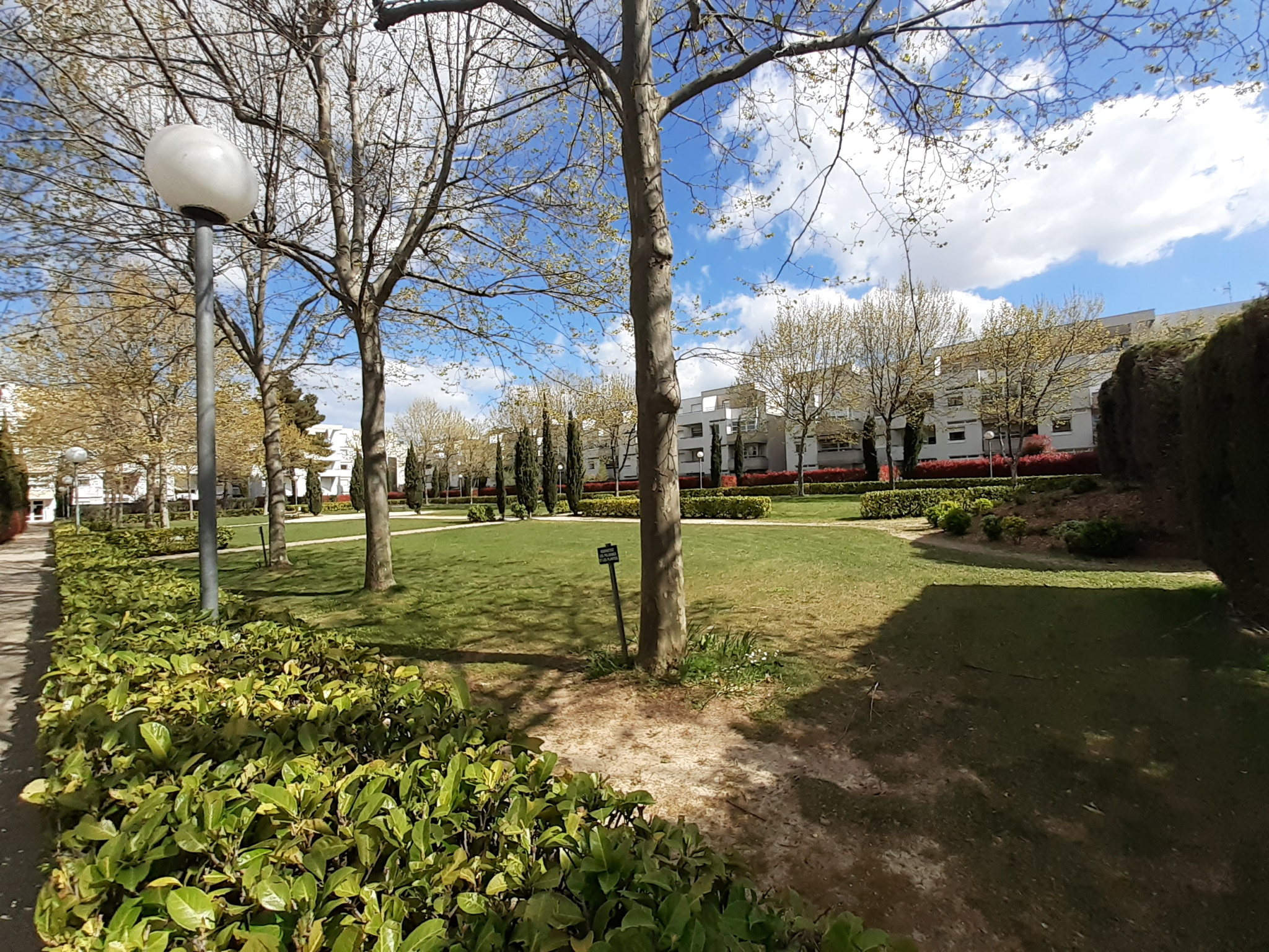 photo_ff47909cfc6587d43d650ed42d37c13b