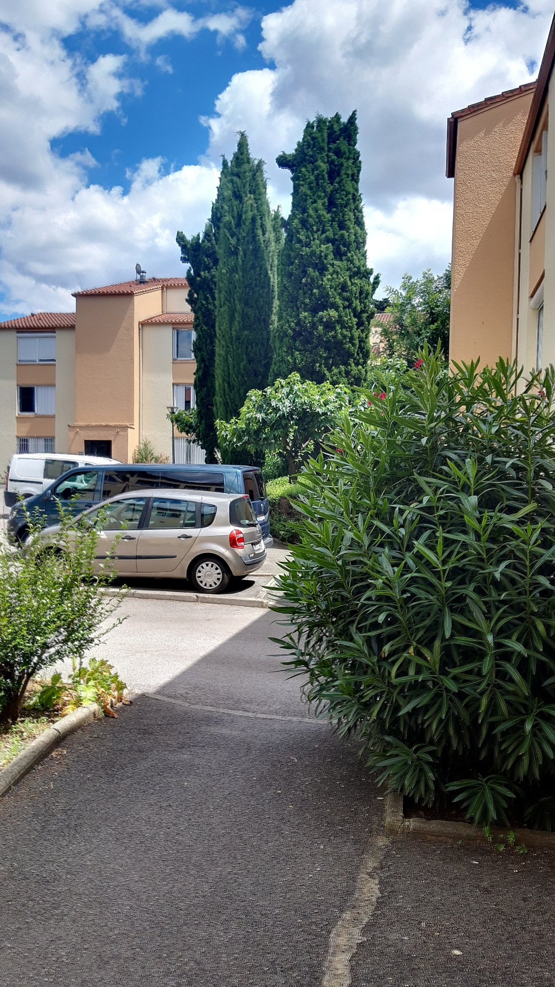 photo_3785df6afc9151f0005635bf7c58285c