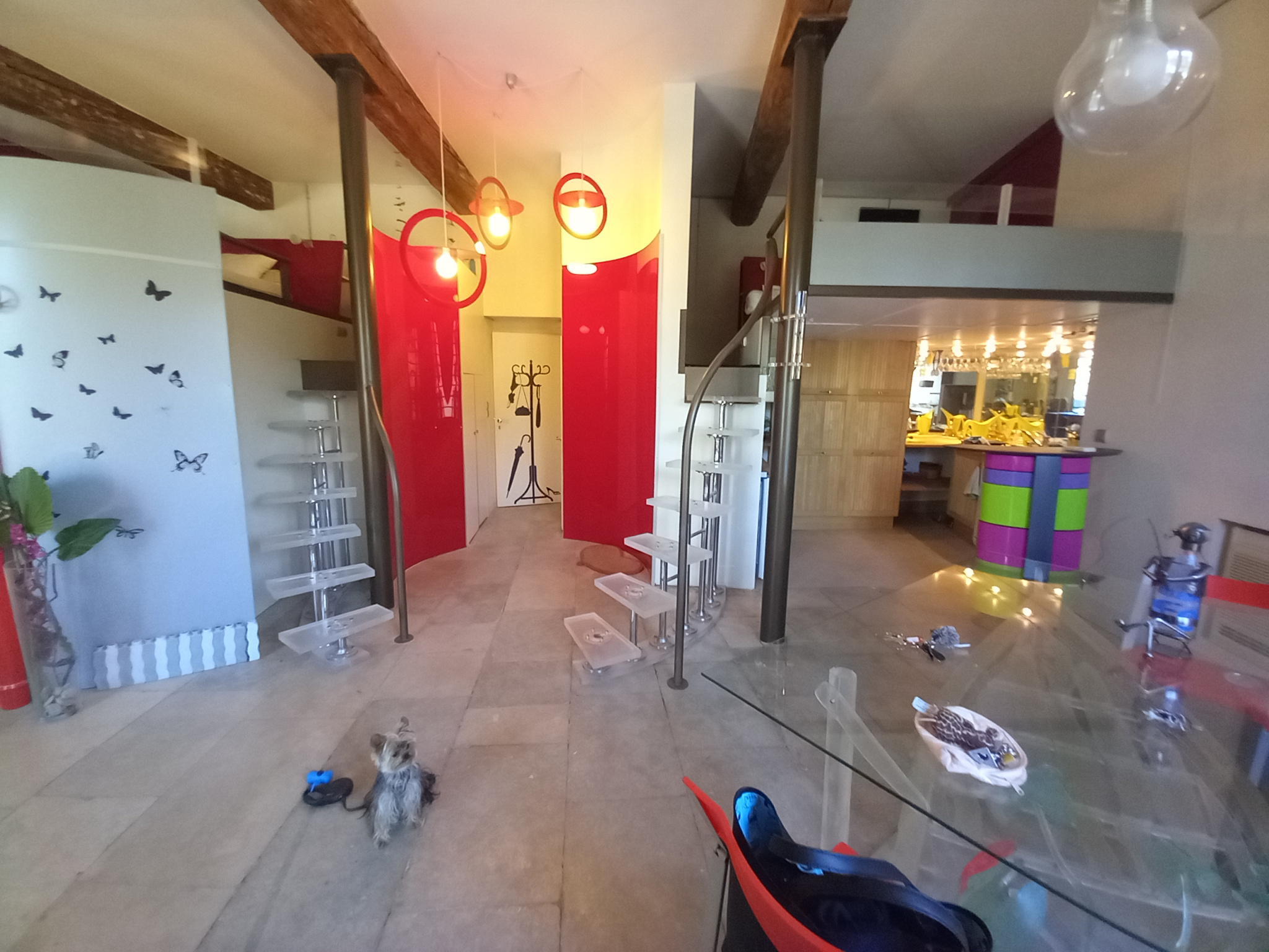 photo_37b4d104913dd6707cd7eedb3803d98b