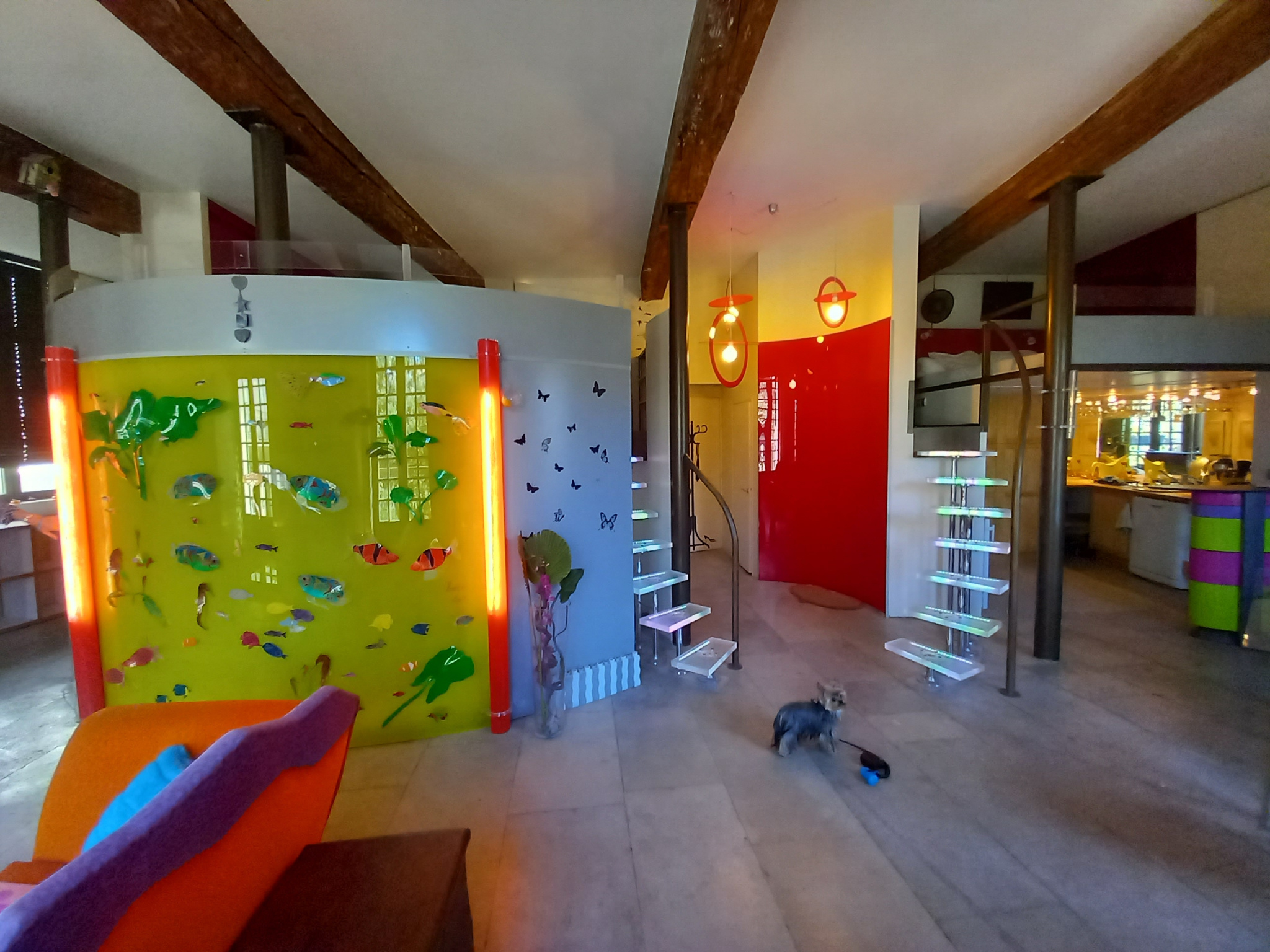 photo_54bdffcf8f95db6cf4e4fb94d60af002