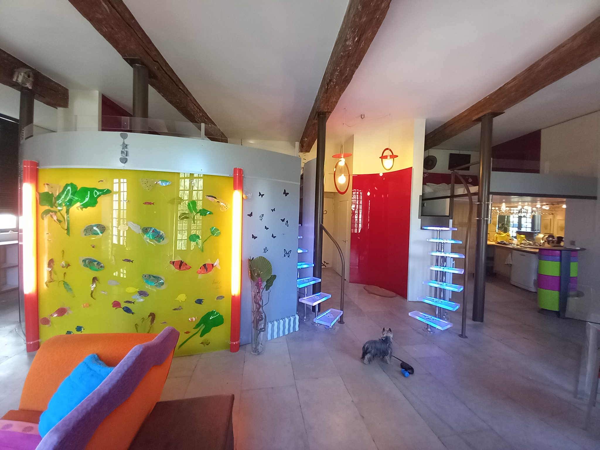 photo_c203a2c397a58f03f4c4bd360eae3127