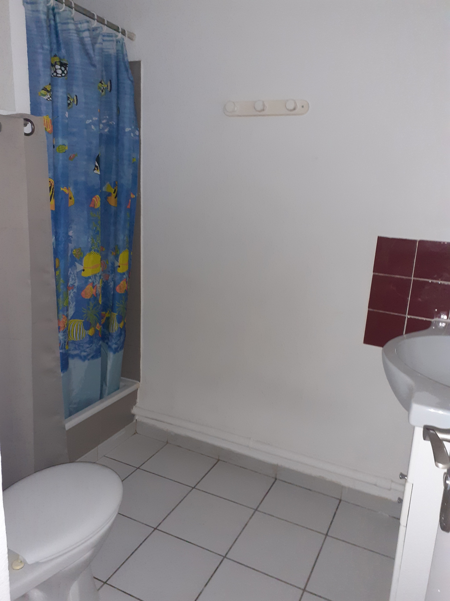 photo_19b459b3d66ab9827ed485c61ff05ae0