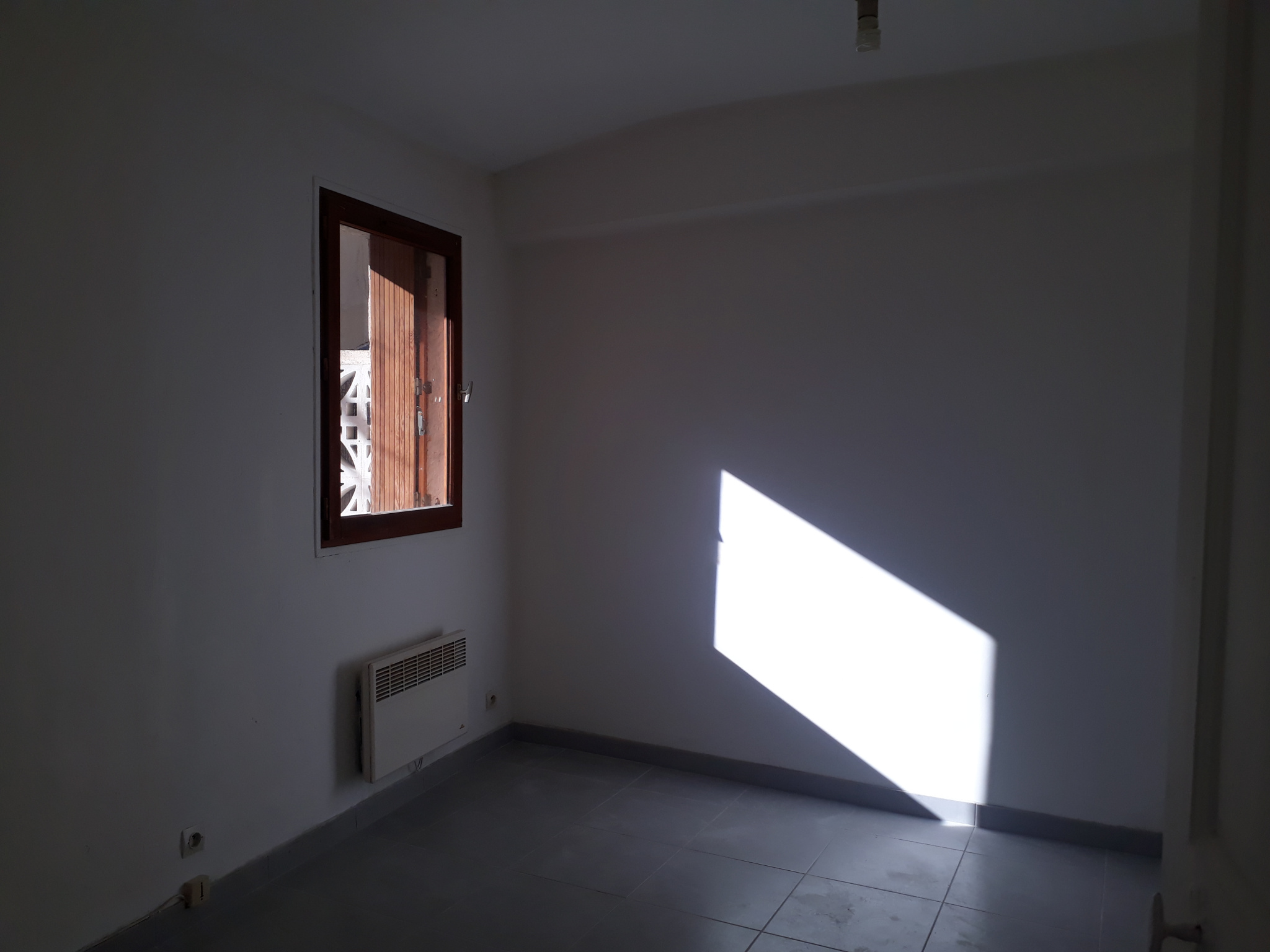 photo_c044aff8487e64ed6e9df1388837f158