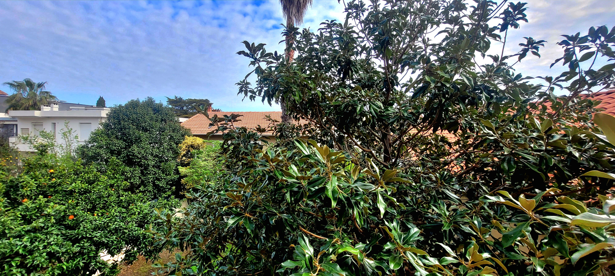 photo_c8ee0c897595ed804795d710b1072ae7