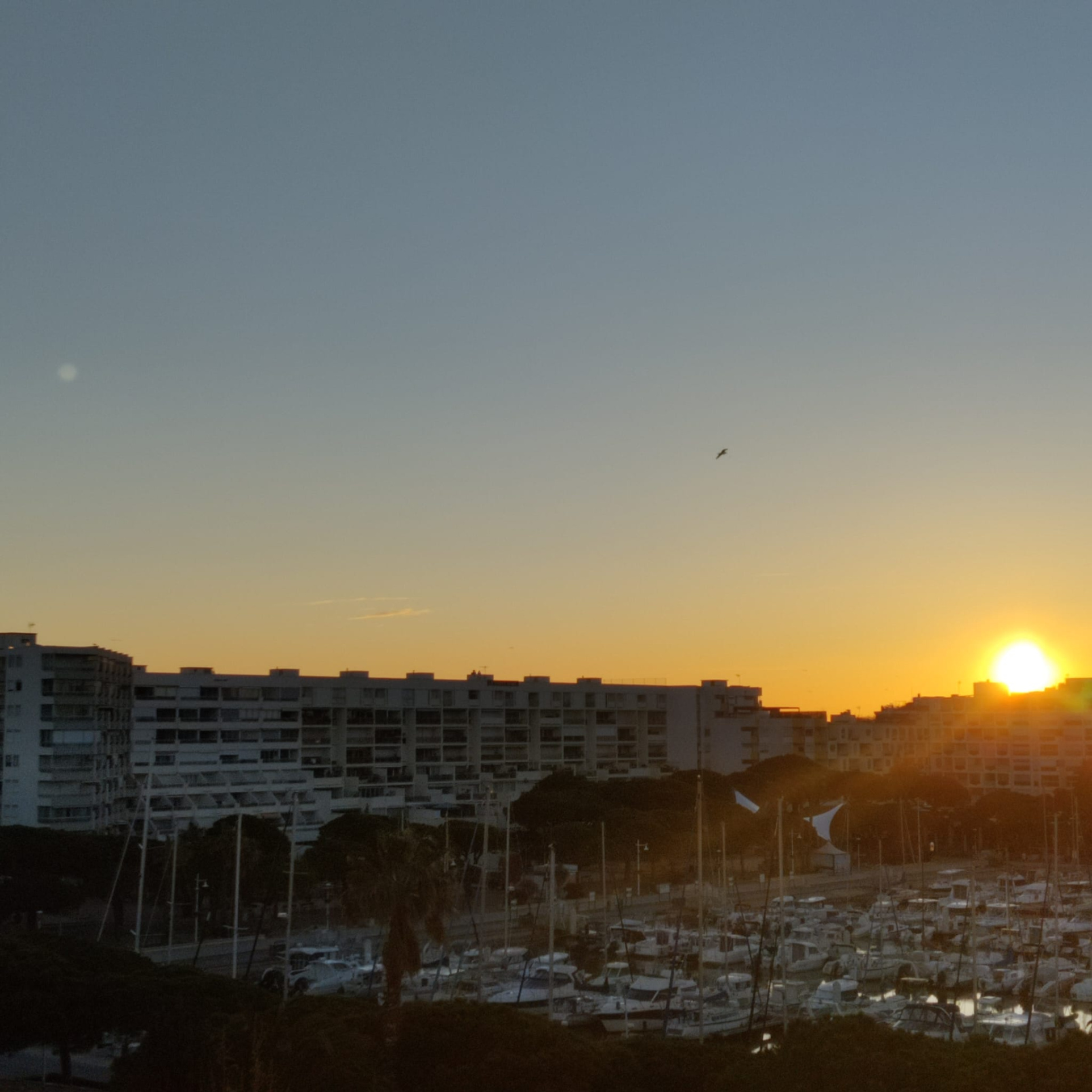 Photo du bien immobilier