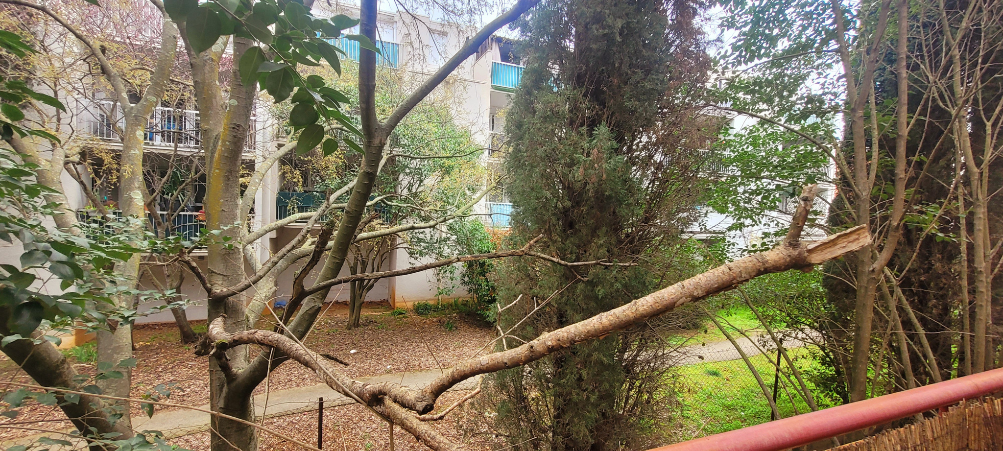 Photo du bien immobilier