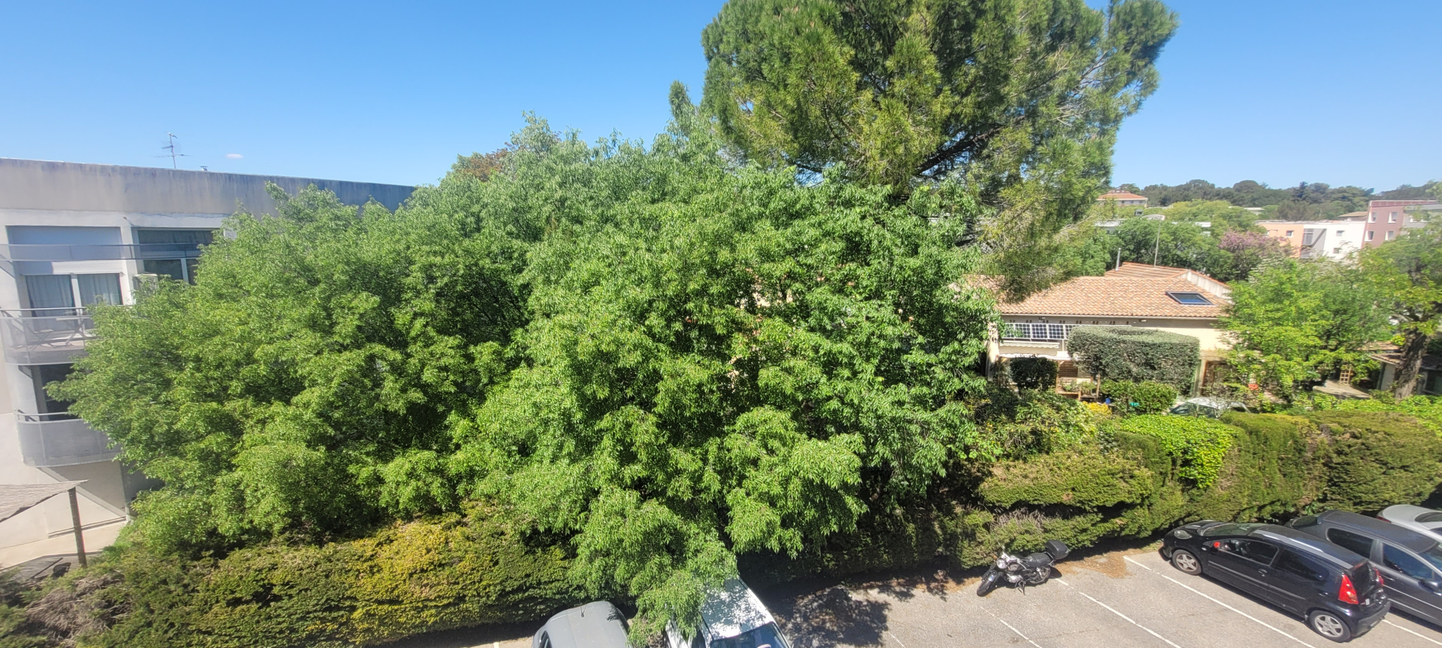 photo_90d12fd7db5c87a227ab17d1a22d4379