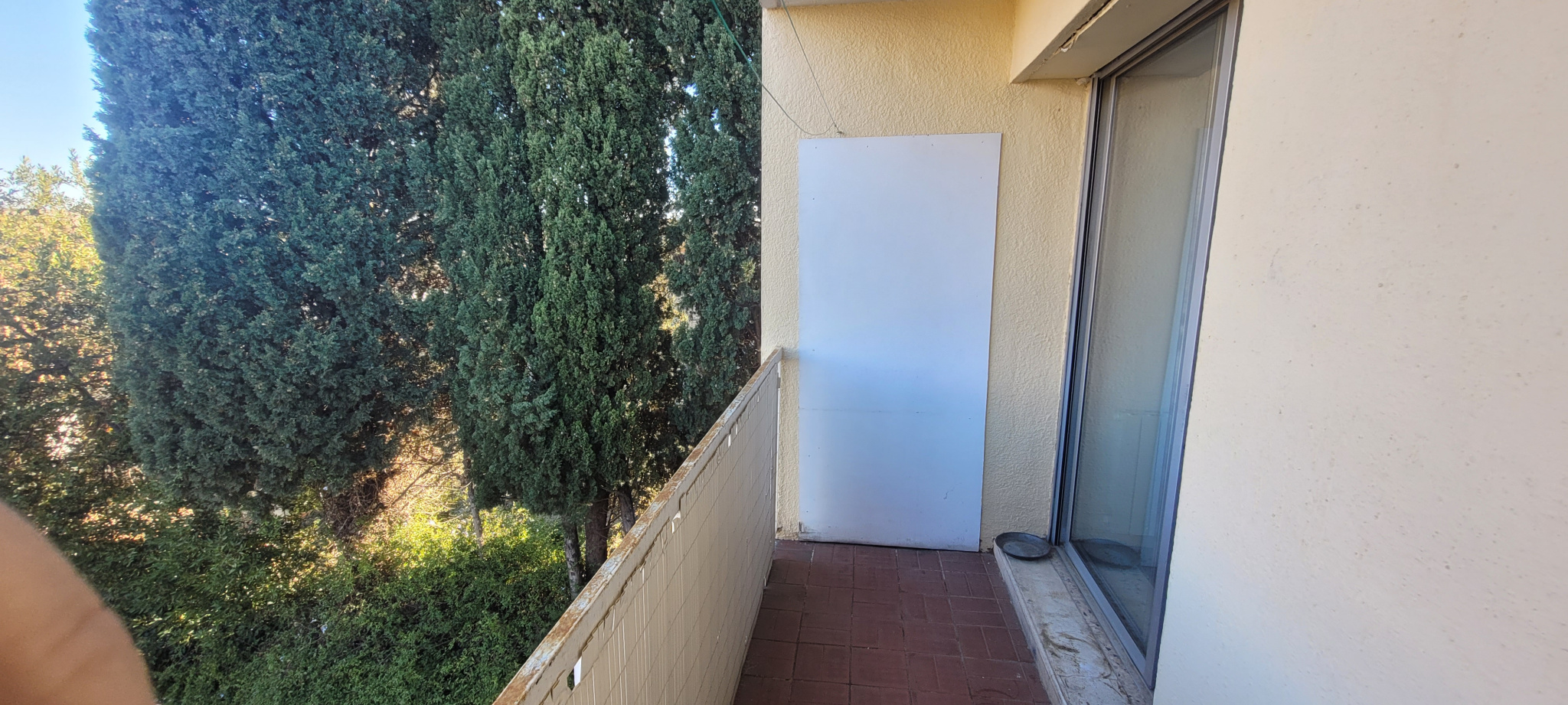 photo_9321e516ba17257d296ddfebf3e1dbb6