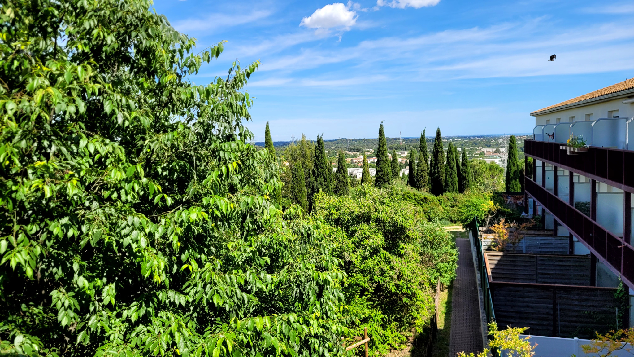 Photo du bien immobilier