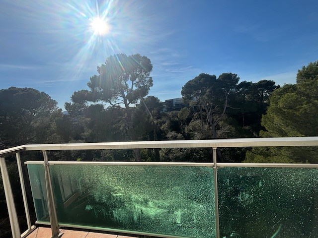 photo_14f5db9cd0ffb978806641f37ddb8343