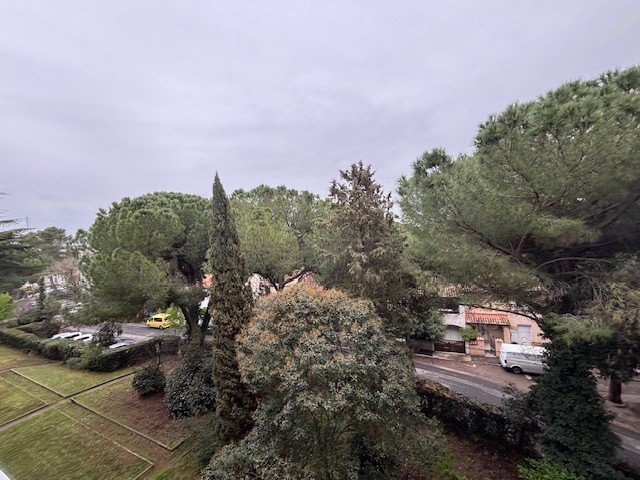 photo_a8c22056516ea9e1c0e632fb57e01bc7