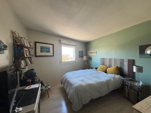 photo_e29b9c51645ba7c1b8c2db0e3e704612