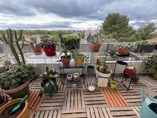 Photo du bien immobilier